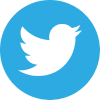 sx icon twitter